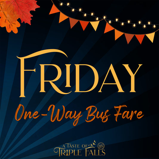 A Taste of Triple Falls: One-Way Bus Fare