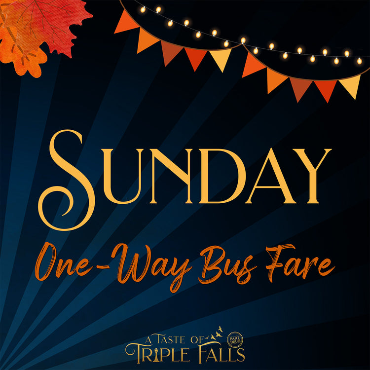 A Taste of Triple Falls: One-Way Bus Fare