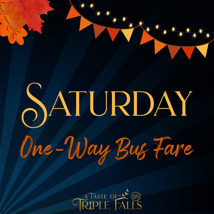 A Taste of Triple Falls: One-Way Bus Fare